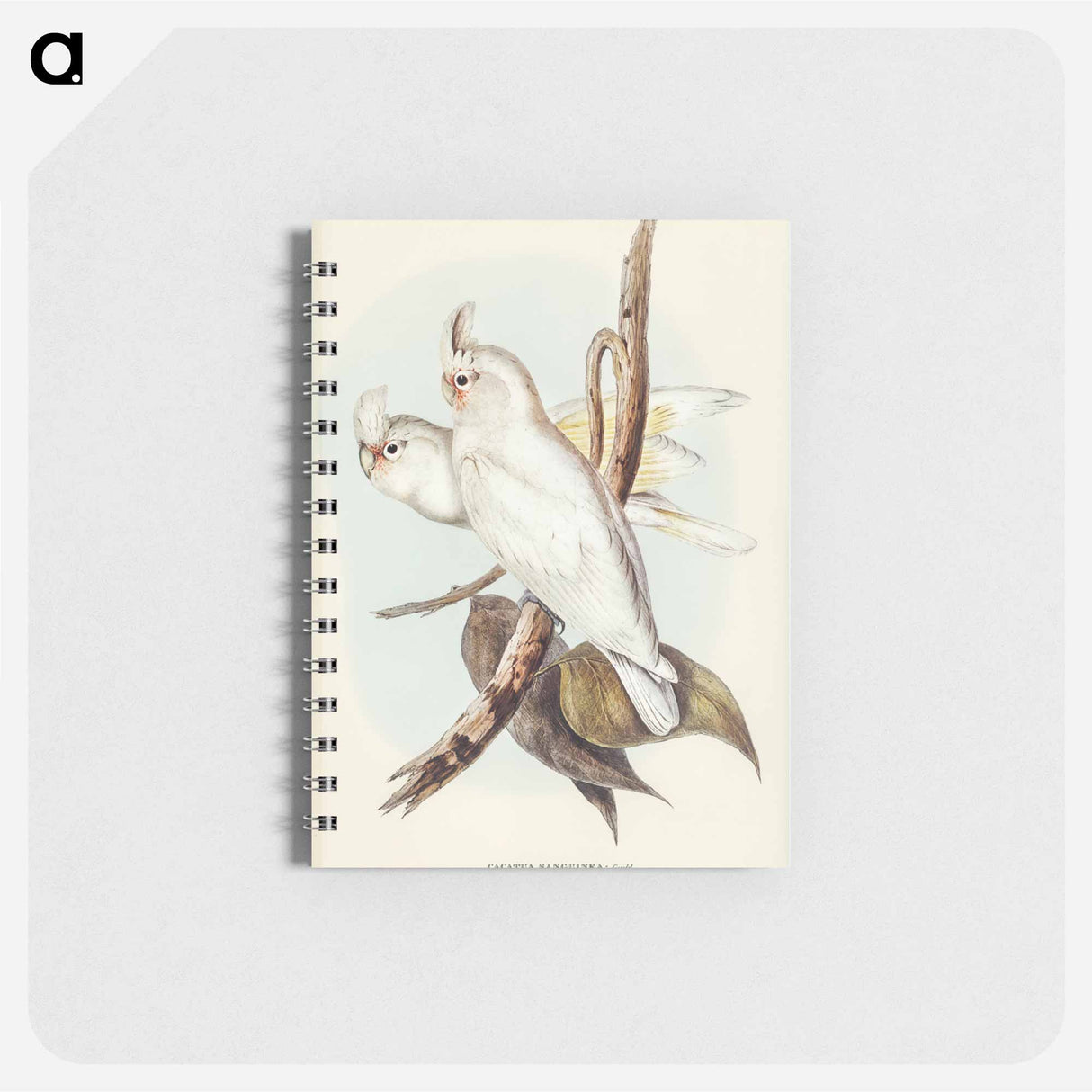 アートメモ帳-Blood-stained Cockatoo
 - オーストラリアの鳥 Memo.