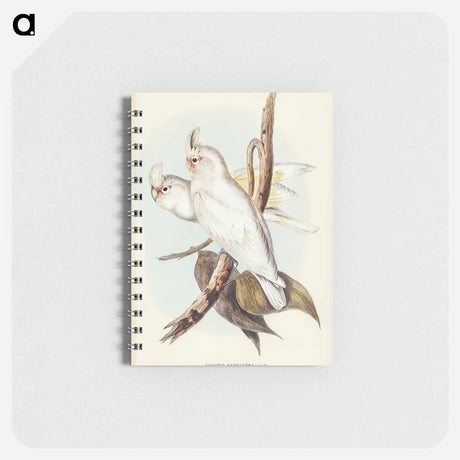 アートメモ帳-Blood-stained Cockatoo
 - オーストラリアの鳥 Memo.