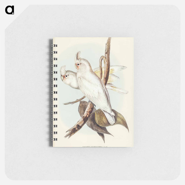 アートメモ帳-Blood-stained Cockatoo
 - オーストラリアの鳥 Memo.
