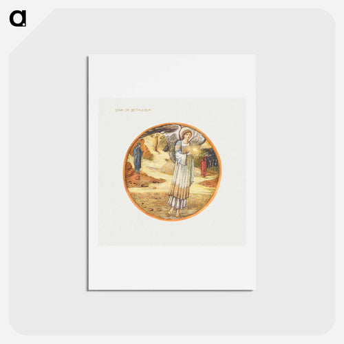 Star of Bethlehem
 - フラワーブック Postcard.