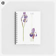 1-28_The-Genus-Iris_memo