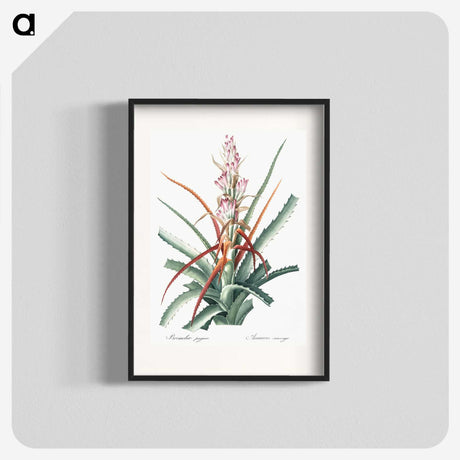 1-28_The-Lilies_blk