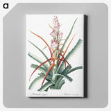 1-28_The-Lilies_canvas