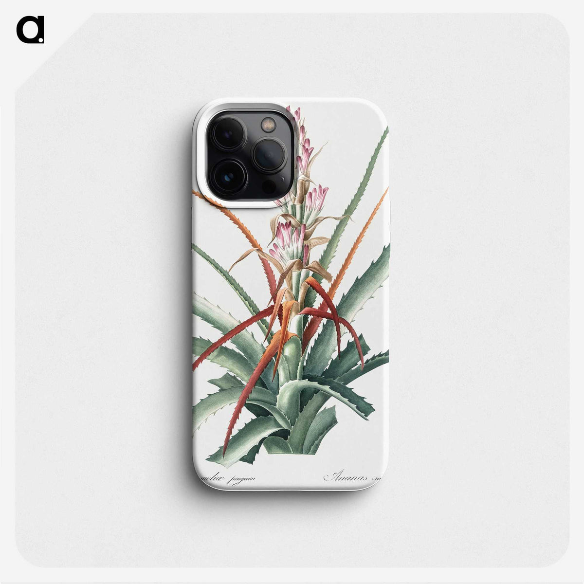 1-28_The-Lilies_phone