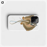 1-28_The-Natural-History-of-British-Fishes_phone