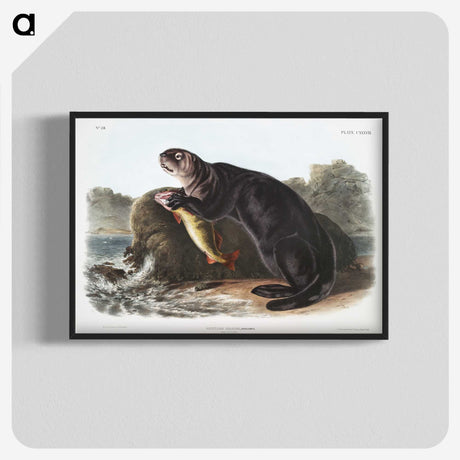 1-28_The-Viviparous-Quadrupeds_blk-crop