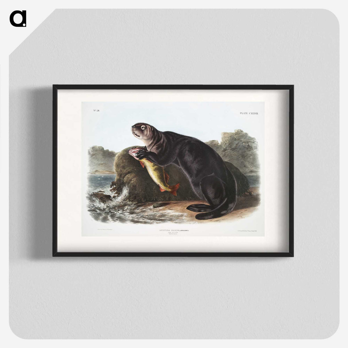 1-28_The-Viviparous-Quadrupeds_blk