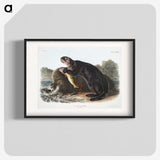 1-28_The-Viviparous-Quadrupeds_blk