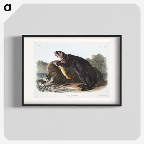 1-28_The-Viviparous-Quadrupeds_blk
