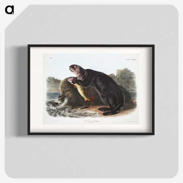 1-28_The-Viviparous-Quadrupeds_blk