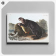 1-28_The-Viviparous-Quadrupeds_canvas