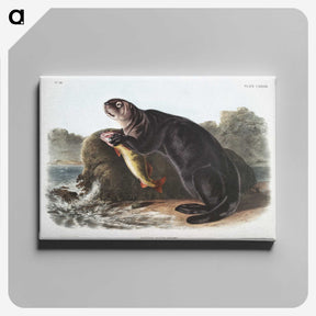 1-28_The-Viviparous-Quadrupeds_canvas