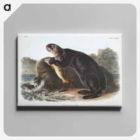 1-28_The-Viviparous-Quadrupeds_canvas