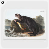 1-28_The-Viviparous-Quadrupeds_picture-crop