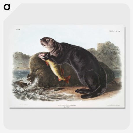 1-28_The-Viviparous-Quadrupeds_picture-crop