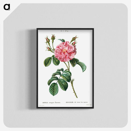 1-28_Treatise-on-Trees-and-Shrubs_blk-crop