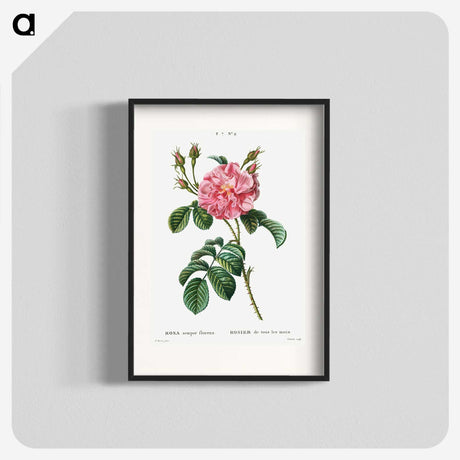 1-28_Treatise-on-Trees-and-Shrubs_blk