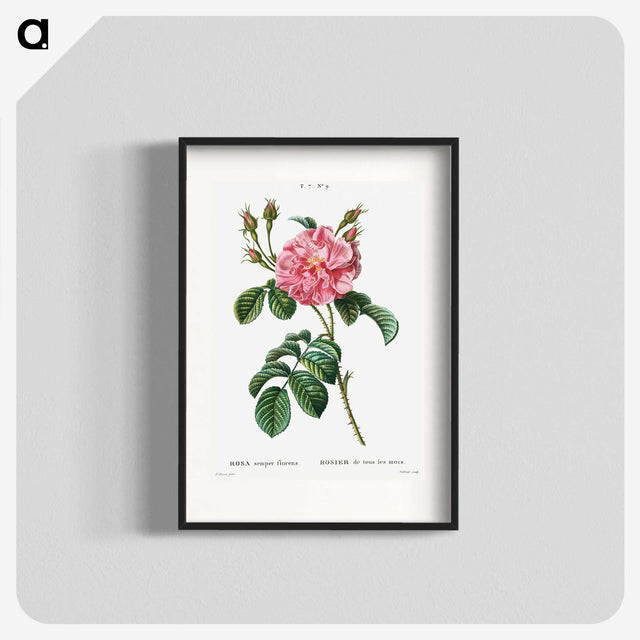 1-28_Treatise-on-Trees-and-Shrubs_blk