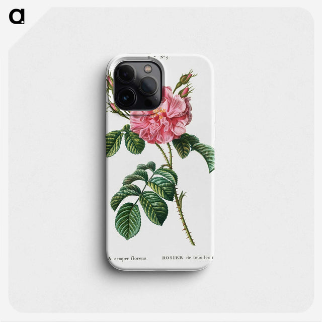 1-28_Treatise-on-Trees-and-Shrubs_phone