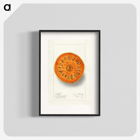 1-28_USDA-Watercolor-Fruit-Painting-Collection_blk