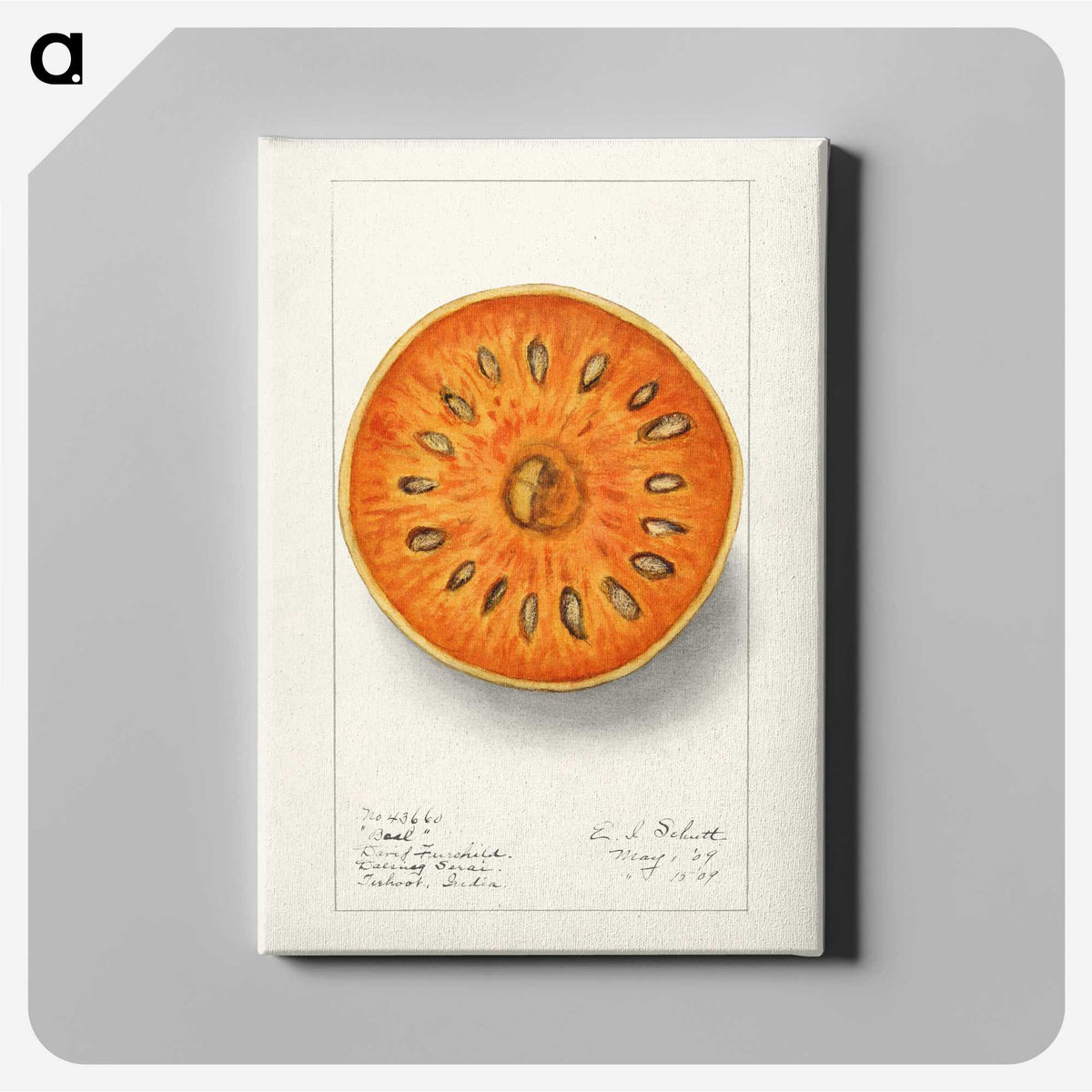 1-28_USDA-Watercolor-Fruit-Painting-Collection_canvas