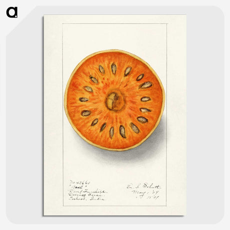 1-28_USDA-Watercolor-Fruit-Painting-Collection_picture-crop
