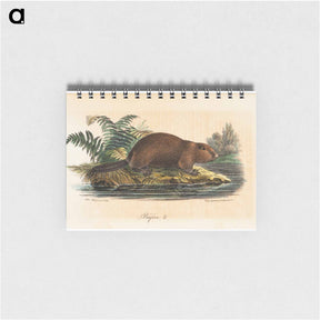 アートメモ帳-Beaver - ヴィルヘルム フォン ライト Memo.