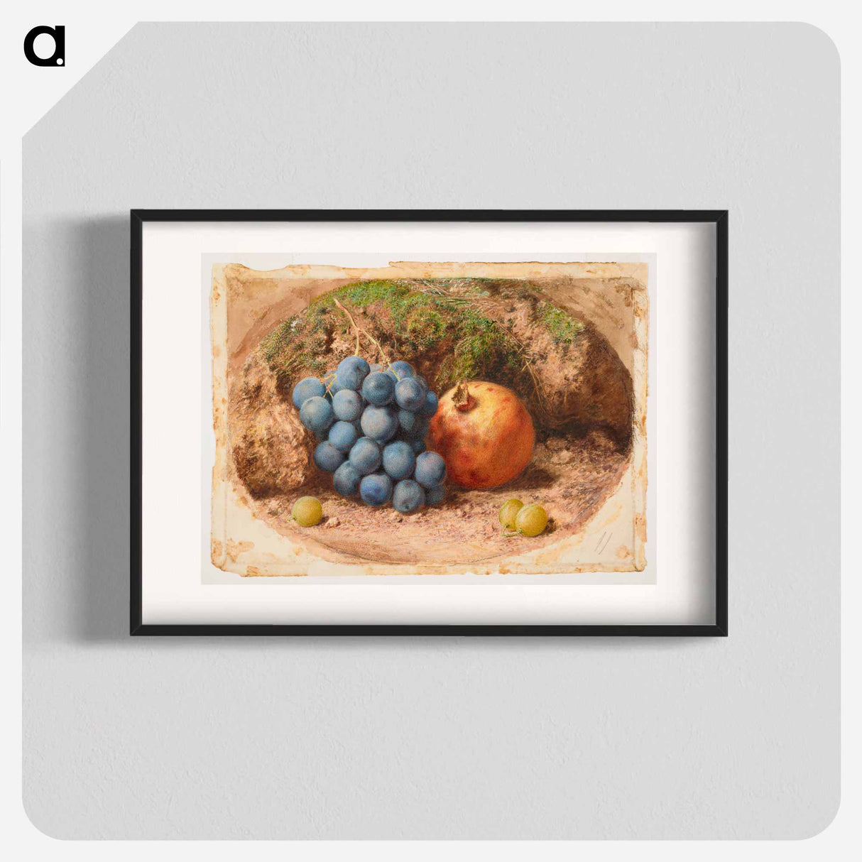 Still Life with Grapes and a Pomegranate - ウィリアム ヘンリー ハント Poster.