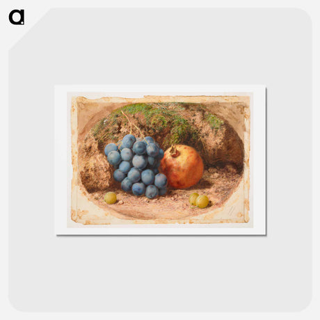 アートポストカード-Still Life with Grapes and a Pomegranate - ウィリアム ヘンリー ハント Postcard.