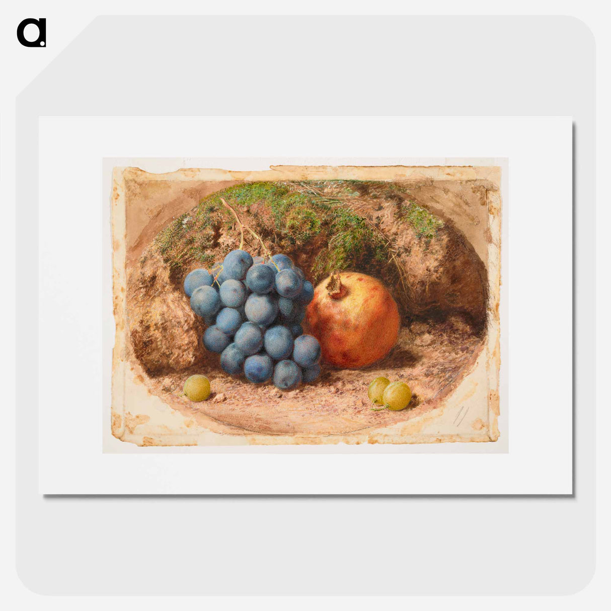 Still Life with Grapes and a Pomegranate - ウィリアム ヘンリー ハント Poster.