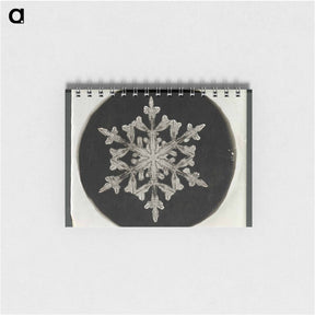 アートメモ帳-Wilson Bentley Photomicrograph of Fernlike Stellar Snowflake No. 842 - ウィルソン ベントレー Memo.