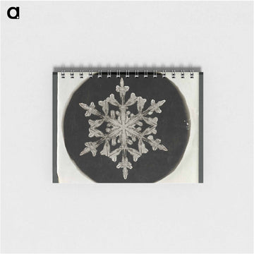 Wilson Bentley Photomicrograph of Fernlike Stellar Snowflake No. 842 - ウィルソン ベントレー Memo.