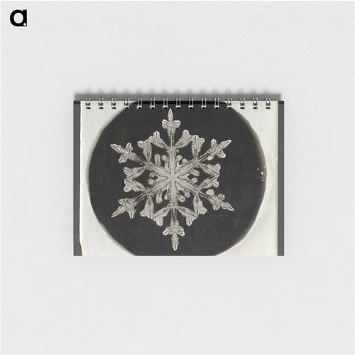 Wilson Bentley Photomicrograph of Fernlike Stellar Snowflake No. 842 - ウィルソン ベントレー Memo.