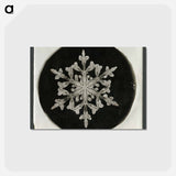 アートポストカード-Wilson Bentley Photomicrograph of Fernlike Stellar Snowflake No. 842 - ウィルソン ベントレー Postcard.