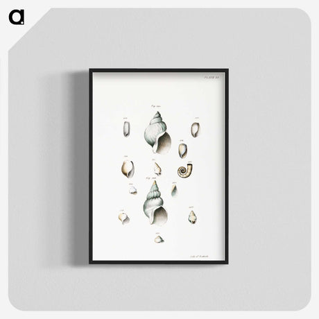 1-28_Zoology-of-New-York_blk-crop