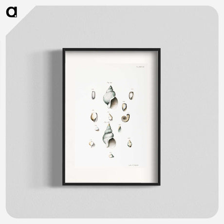 1-28_Zoology-of-New-York_blk