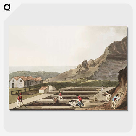 1-29_19th-century-in-Yorkshire_picture-crop