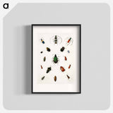 Colored beetles, landscape - アボット ハンダーソン セイヤー Poster.