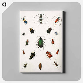 アートパネル-Colored beetles, landscape - アボット ハンダーソン セイヤー Canvas.