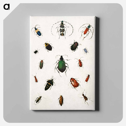 Colored beetles, landscape - アボット ハンダーソン セイヤー Canvas.