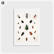 アートポストカード-Colored beetles, landscape - アボット ハンダーソン セイヤー Postcard.