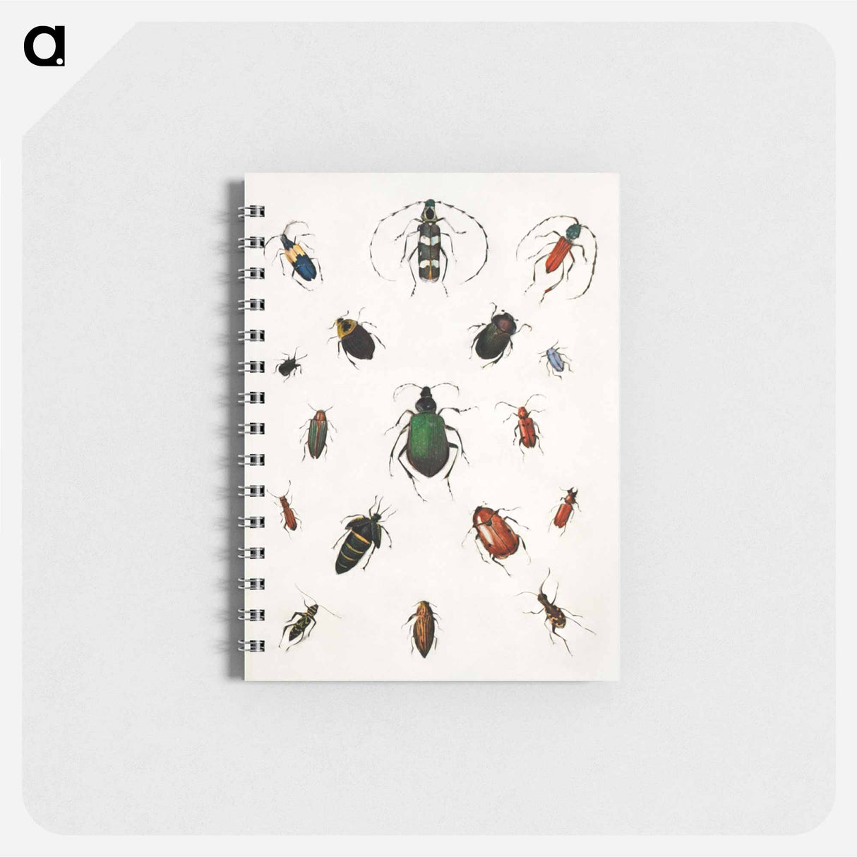 Colored beetles, landscape - アボット ハンダーソン セイヤー Memo.