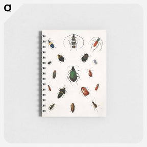 アートメモ帳-Colored beetles, landscape - アボット ハンダーソン セイヤー Memo.