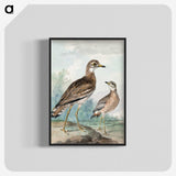 1-29_Aert-Schouman_blk-crop