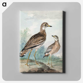 1-29_Aert-Schouman_canvas