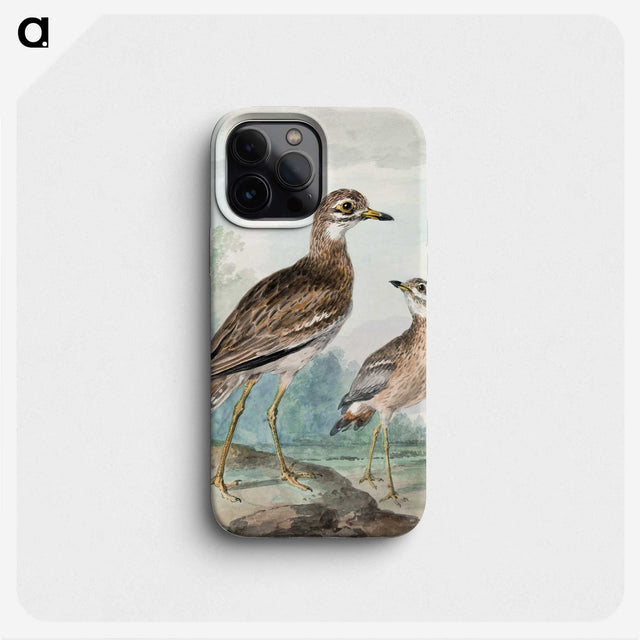 1-29_Aert-Schouman_phone