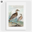 1-29_Aert-Schouman_picture