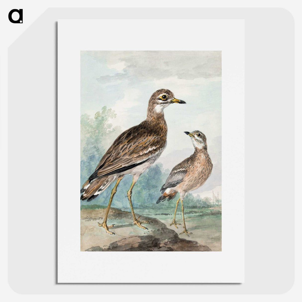 1-29_Aert-Schouman_picture