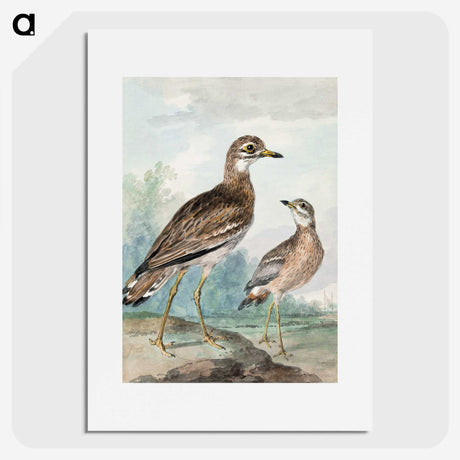 1-29_Aert-Schouman_picture
