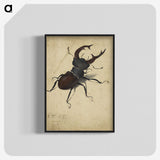 1-29_Albrecht-Durer_blk-crop
